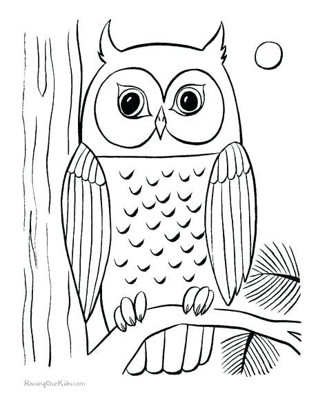 474x580 Burrowing Owl Coloring Page Coloring Page Love Owl Colouring Pages