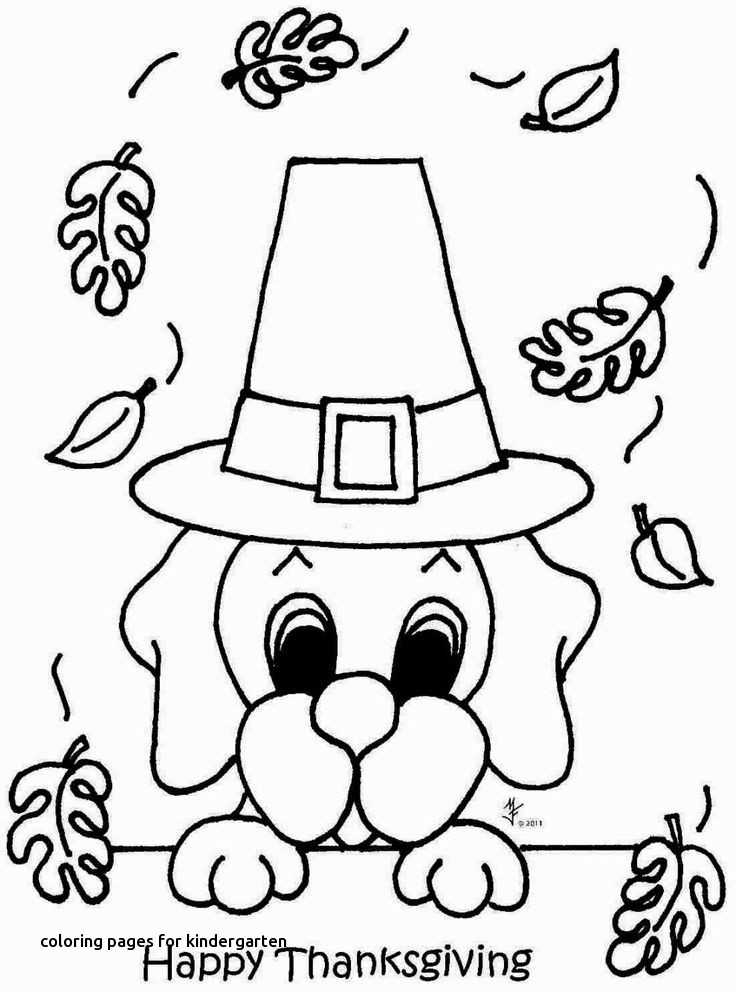 736x992 Burrowing Owl Coloring Page Coloring Page Love