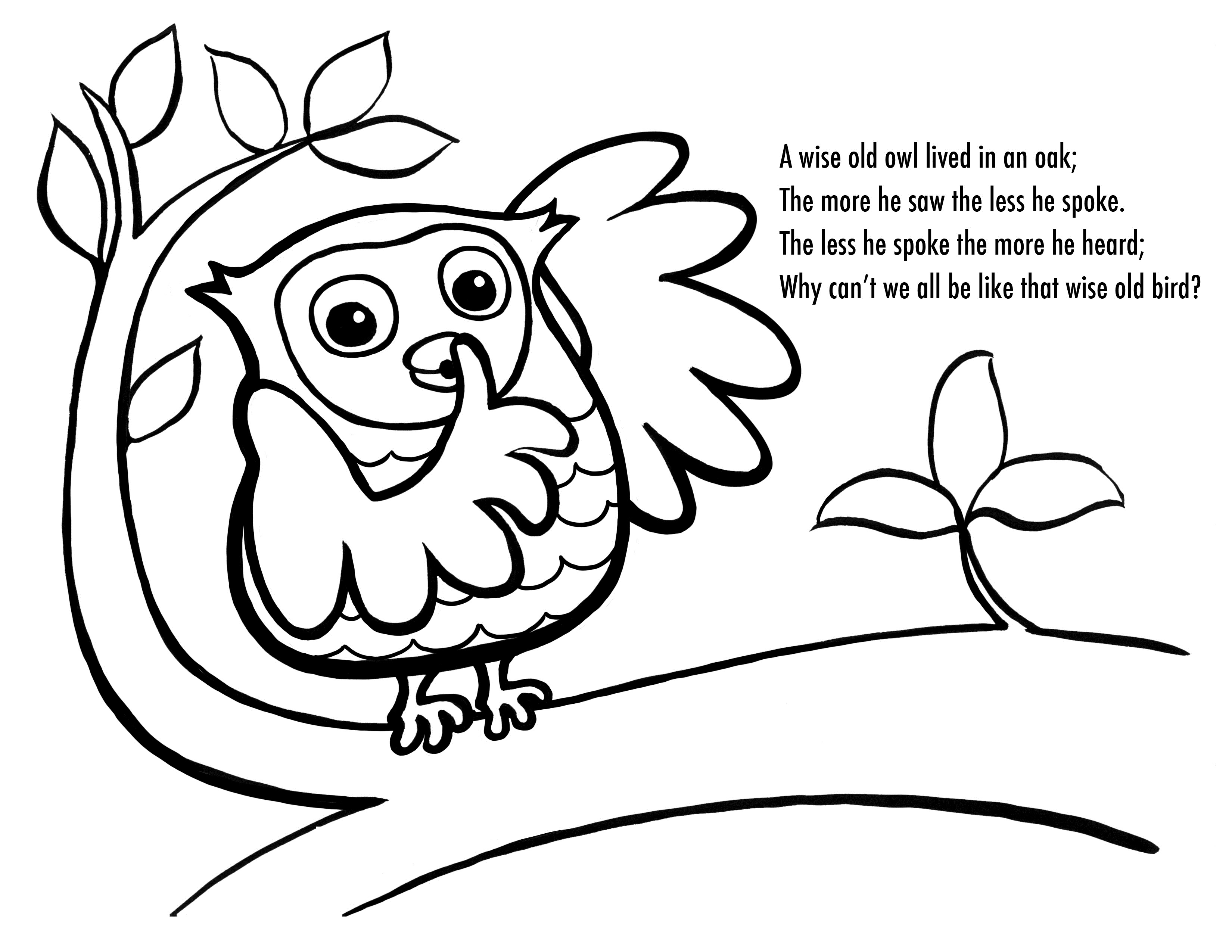 3300x2550 Coloring Pages Owls