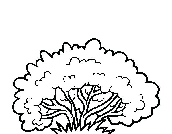 600x470 Coloring Pages Activities Picture Of Prophet Page Color Baby God