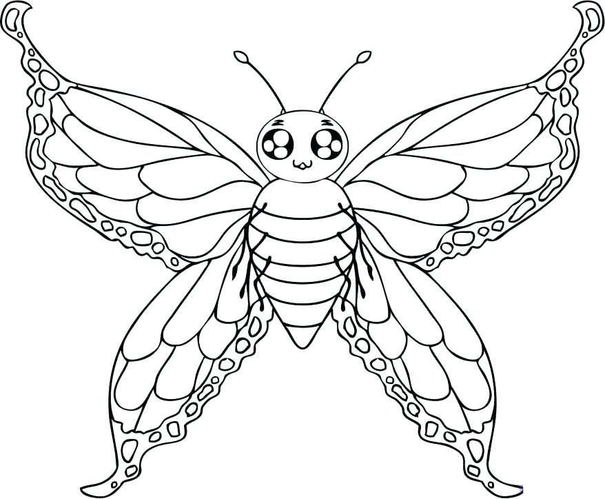 878x724 Butterfly Coloring Pages To Print Color In Your Drawing And You