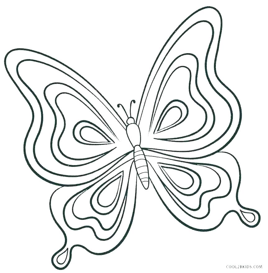 863x878 Detailed Butterfly Coloring Pages