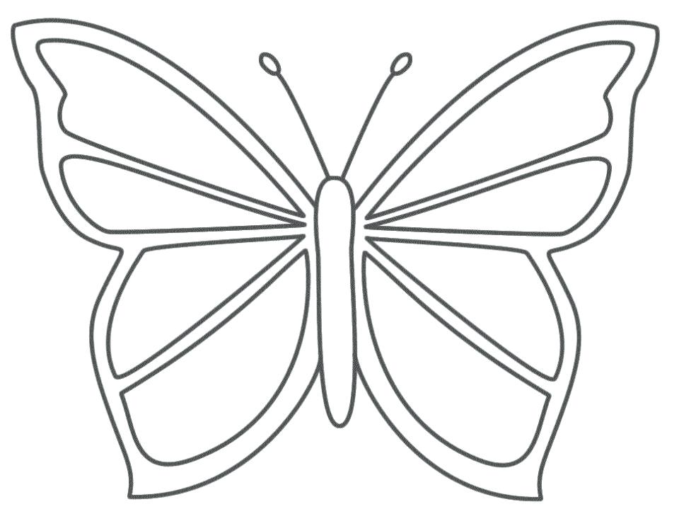 960x726 Coloring Pages Butterfly