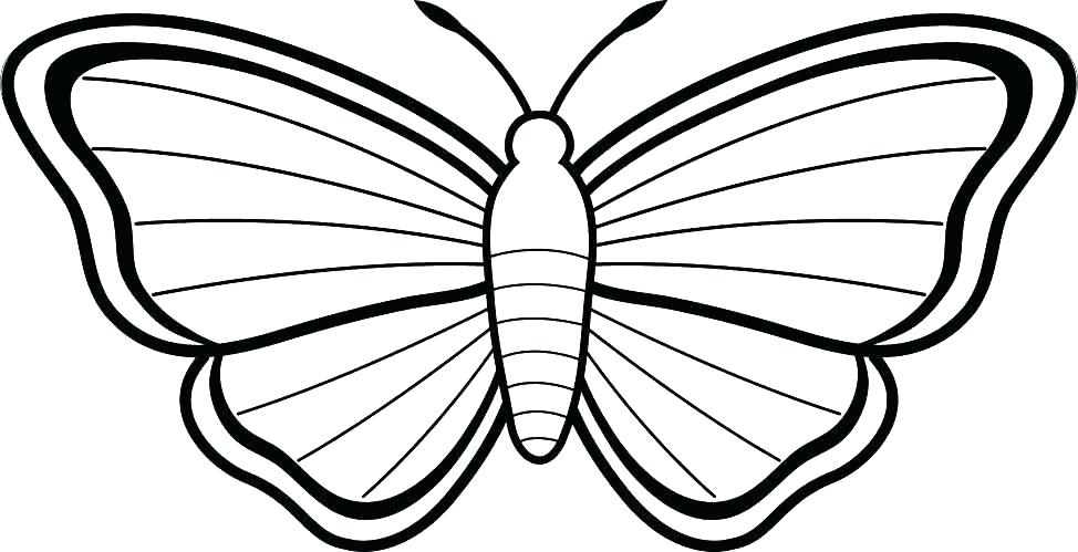974x499 Butterfly Color Sheet Best Collection Coloring Pages Butterfly