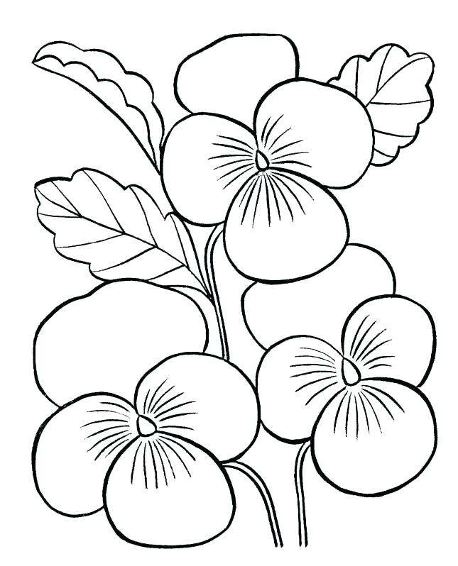 645x798 Coloring Page Of Flowers Flower Coloring Pages Free Buttercup