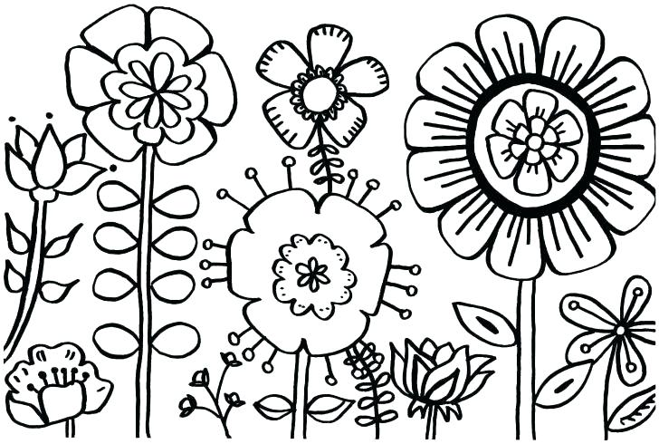 728x490 Coloring Pages For Spring Flowers Buttercup Flower Coloring Pages
