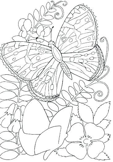 366x525 Flower Coloring Pages 22 Free Psd Ai Vector Eps Format Buttercup
