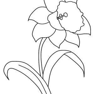 300x300 Buttercup Flower Coloring Pages Color Bros