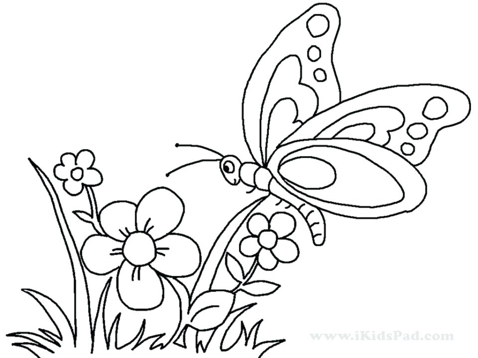 960x720 Butterfly And Flower Coloring Pages Hard Flower Coloring Pages