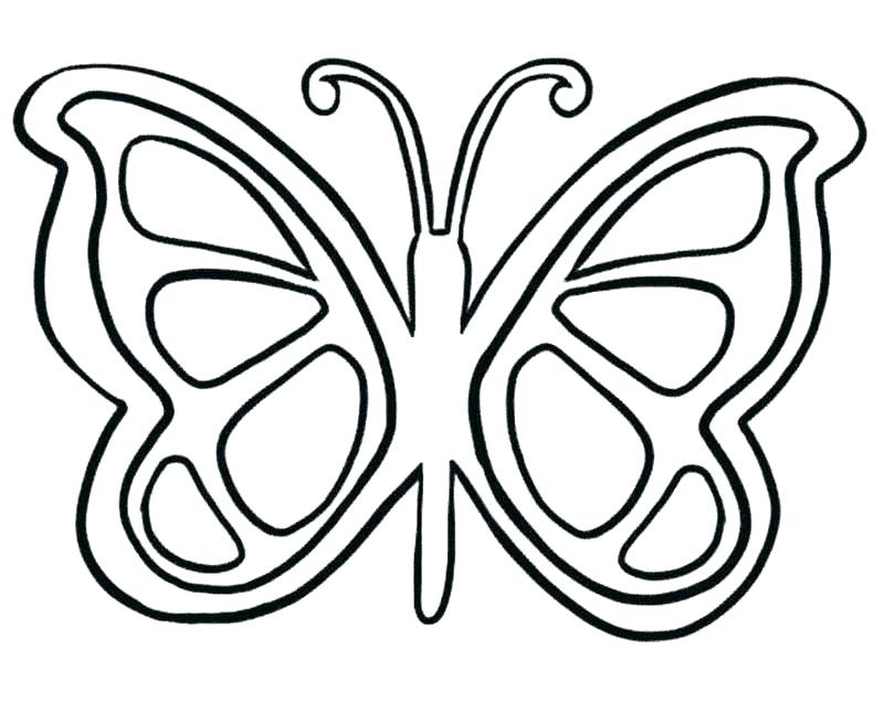800x635 Free Coloring Pages Butterfly Cartoon Butterfly Coloring Pages