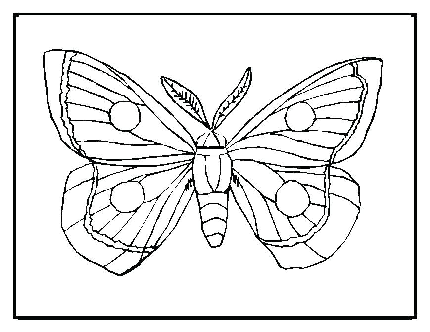 869x671 Coloring Pages Caterpillar To Butterfly Life Cycle Of A Butterfly