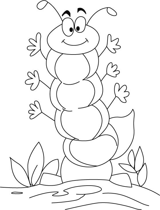 558x732 Hungry Caterpillar Coloring Pages Elegant Free Coloring Pages