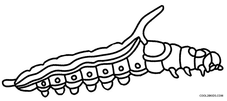 728x325 Printable Caterpillar Coloring Pages For Kids Cool2bkids