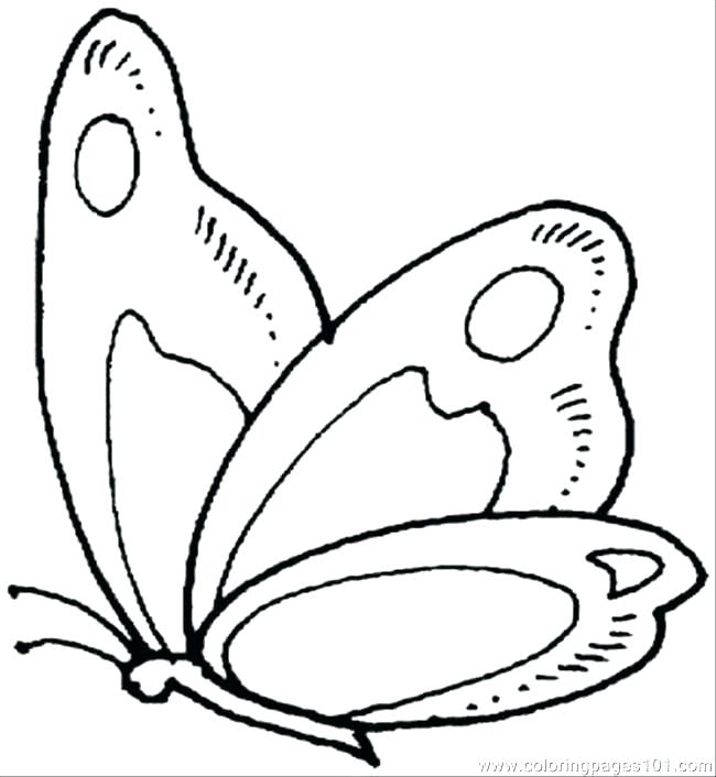 650x706 Caterpillar Coloring Page Butterflies Coloring Pages Butterflies