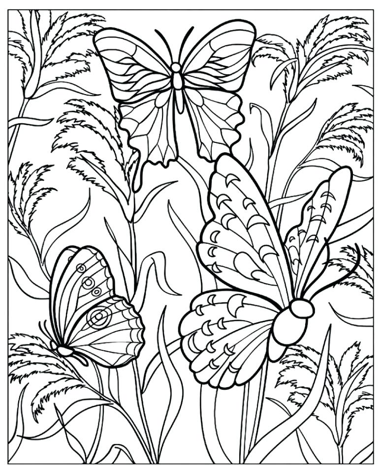 776x960 Coloring Pages Butterfly Butterfly Coloring Pages For Adults Free