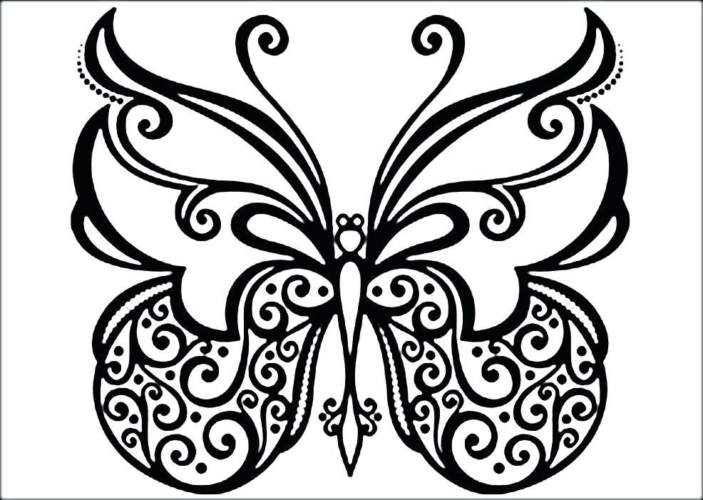 Butterfly