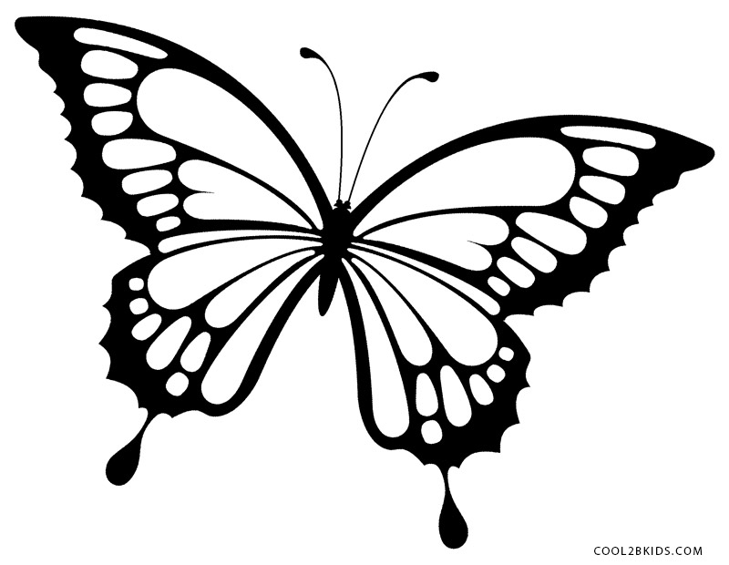 800x620 Printable Butterfly Coloring Pages Printable Butterfly Coloring