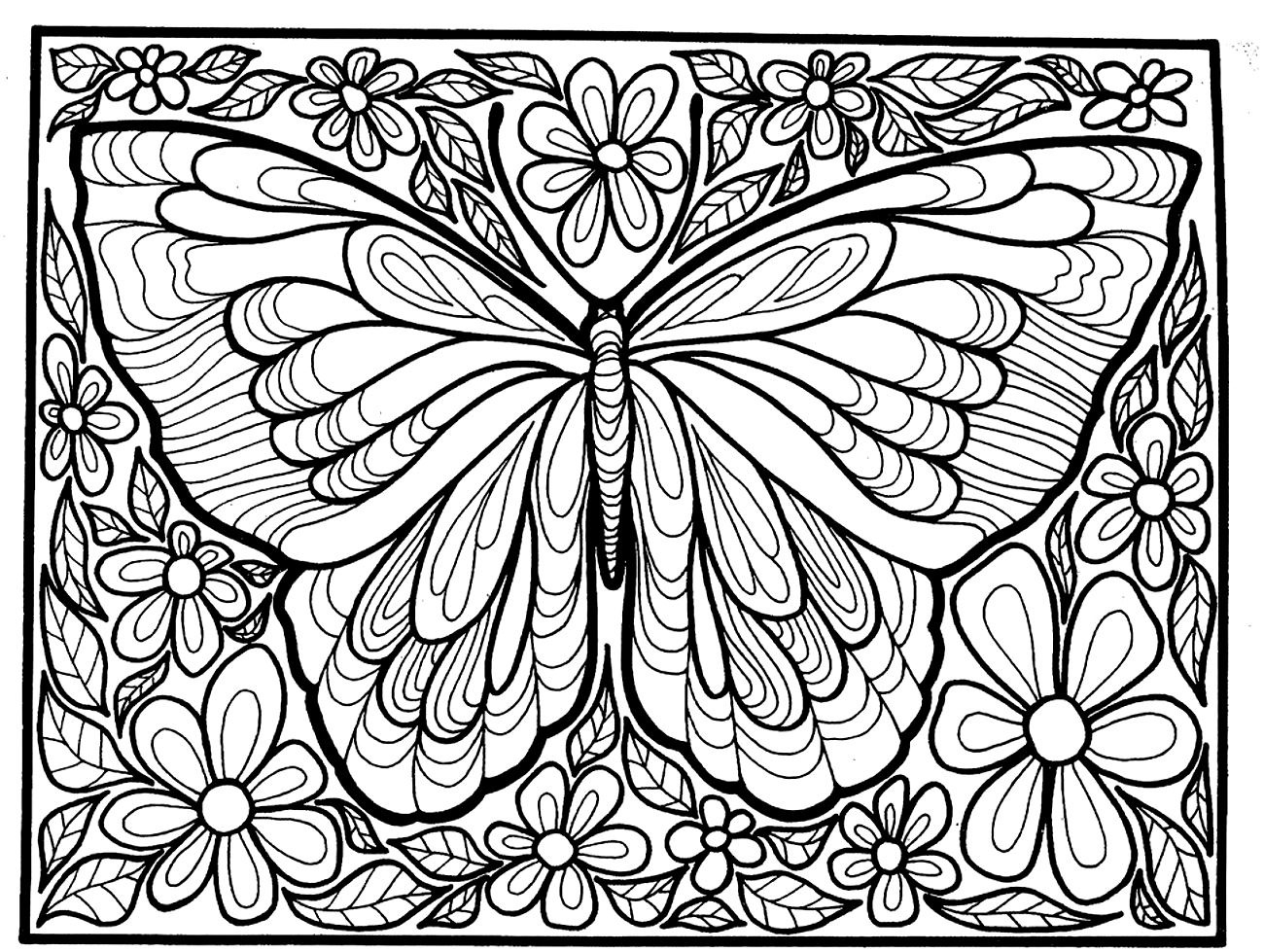 1300x979 Survival Butterfly Coloring Printouts Pages