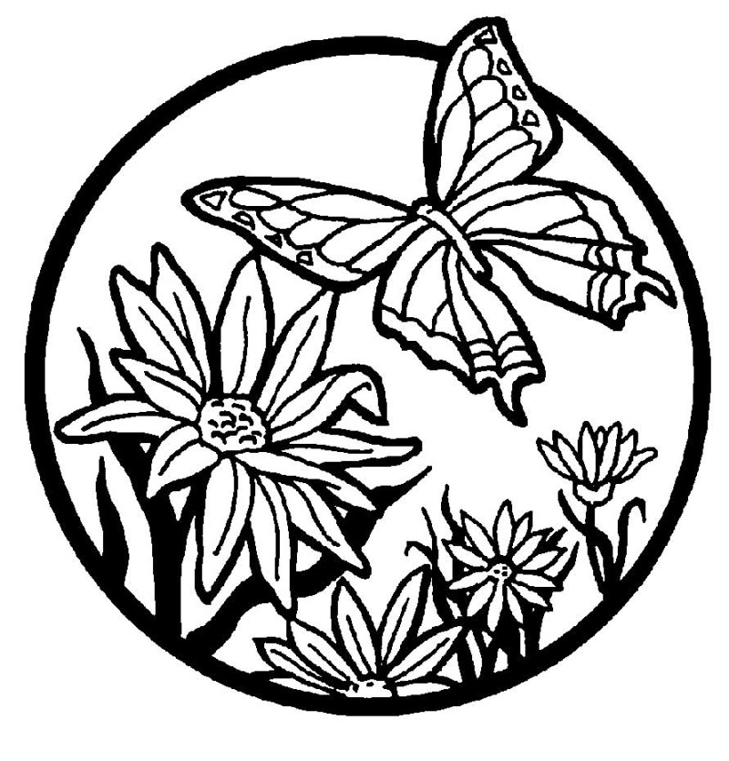 800x835 Printable Coloring Pages Flowers And Butterflies Butterfly