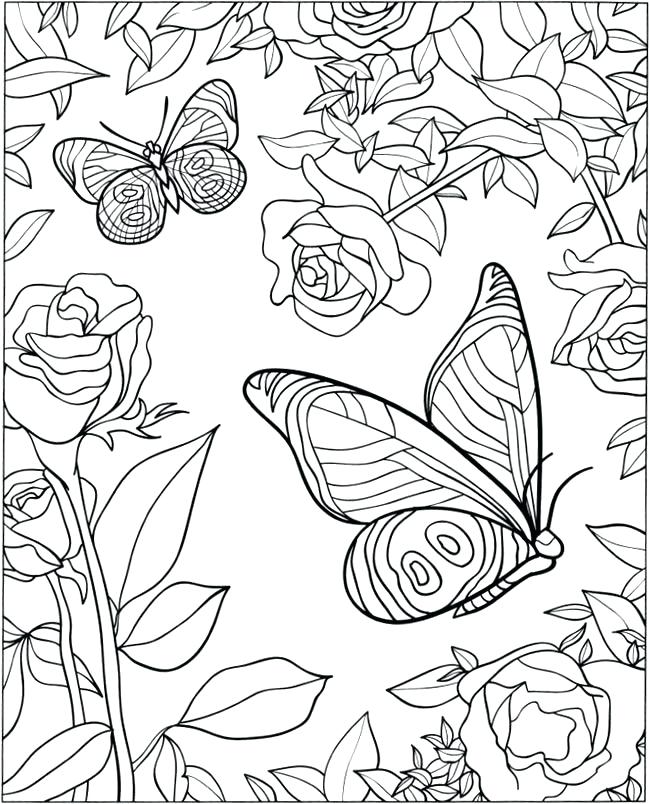 650x804 Butterfly Coloring Pages For Adults Plus 3 D Coloring Book