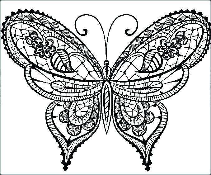 678x562 Butterfly Coloring Pages For Adults Printable Coloring Pages