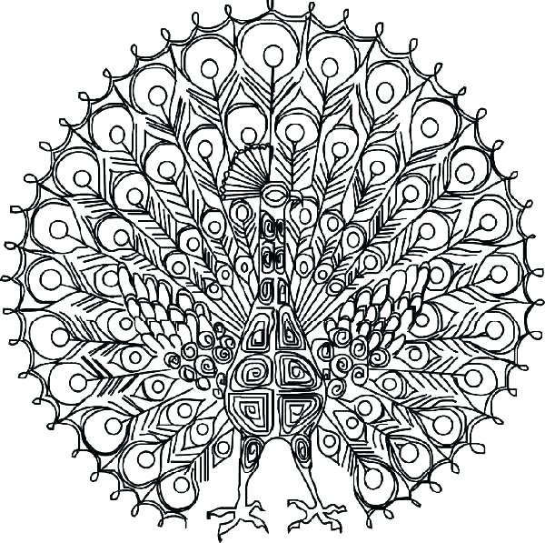 600x597 Detailed Butterfly Coloring Pages Detailed Coloring Pages Coloring