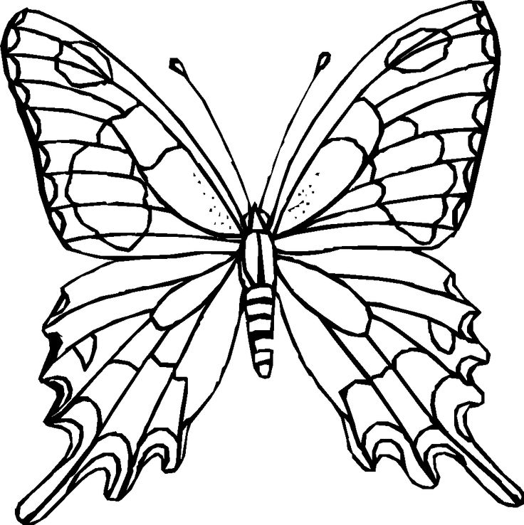 736x738 Printable Butterfly Coloring Pages Coloring Me Coloring Pages