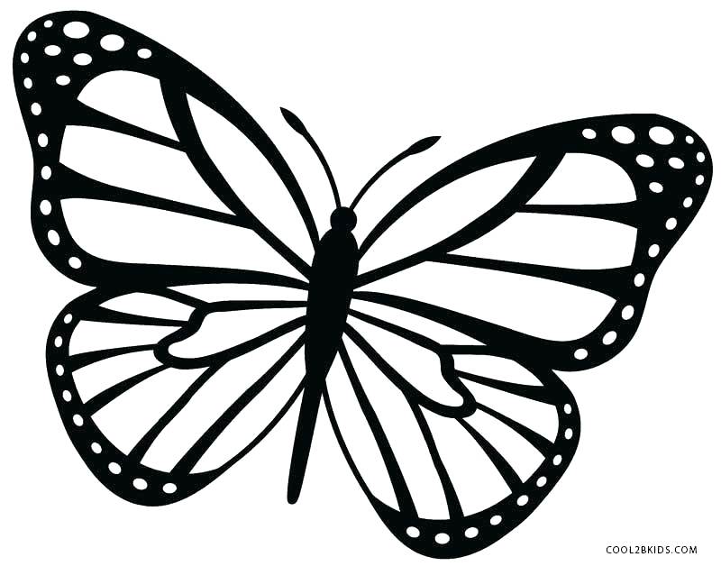 800x628 Butterfly Coloring Book Pages To Print Kids Coloring Butterfly