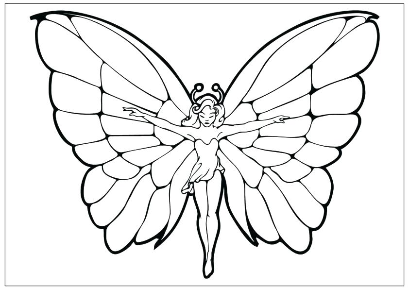 842x595 Free Coloring Pages Butterflies 2272800