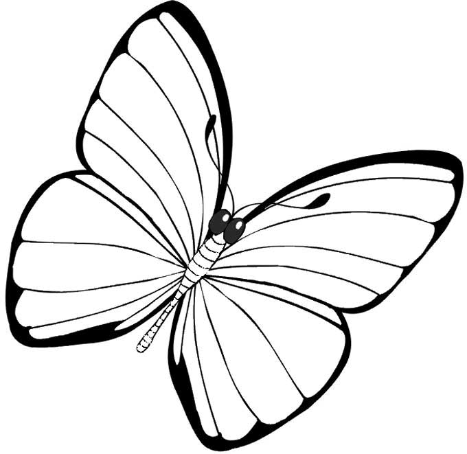 680x661 Simple Butterfly Coloring Pages