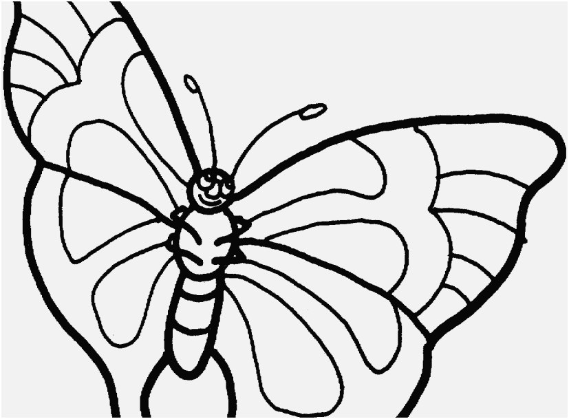 827x609 The Perfect Pic Printable Butterfly Coloring Pages Progressive