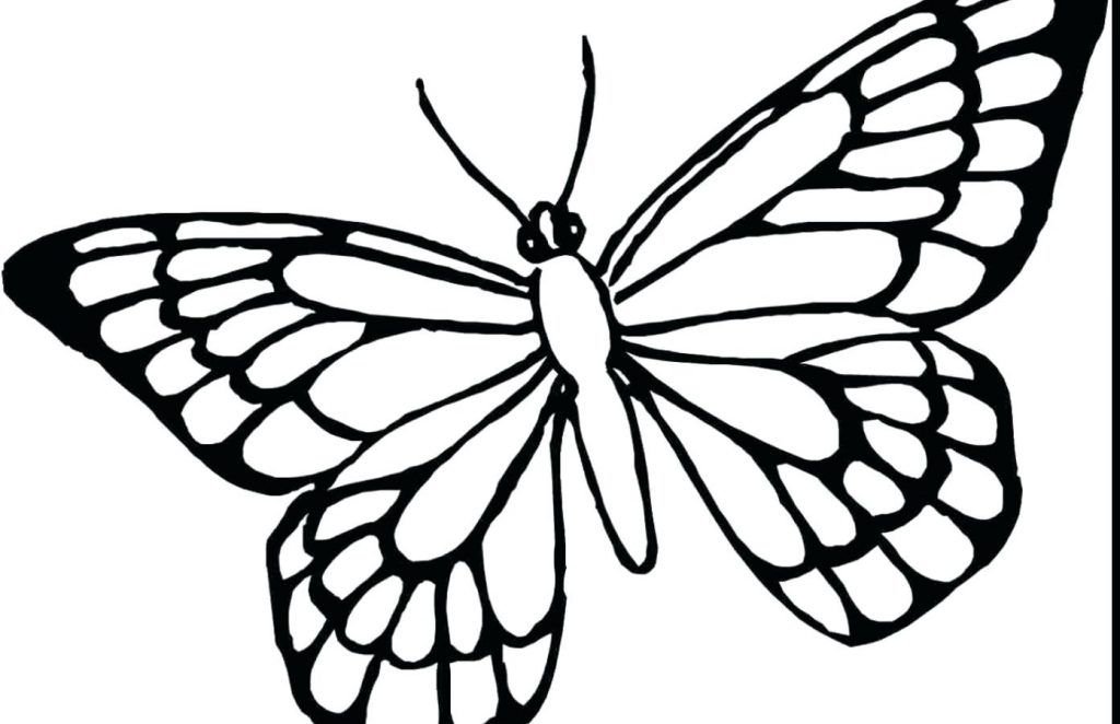 1024x662 Coloring Page ~ Butterfly Coloring Pages Printable And For Kids