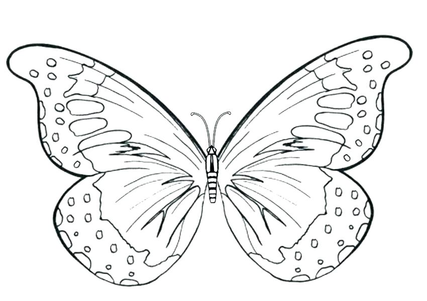 Butterfly Coloring Pages For Preschool