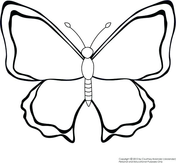 590x549 Butterfly Coloring Pages For Preschool Simple Butterfly Coloring
