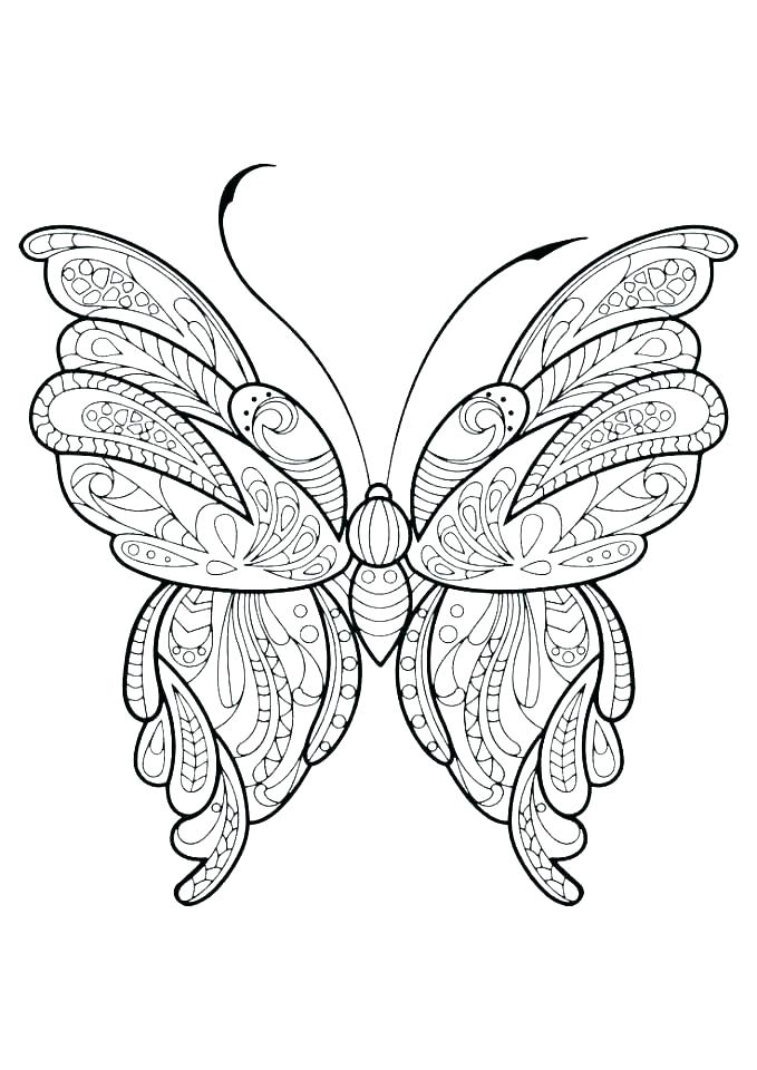679x960 Coloring Page Of A Butterfly Deepart