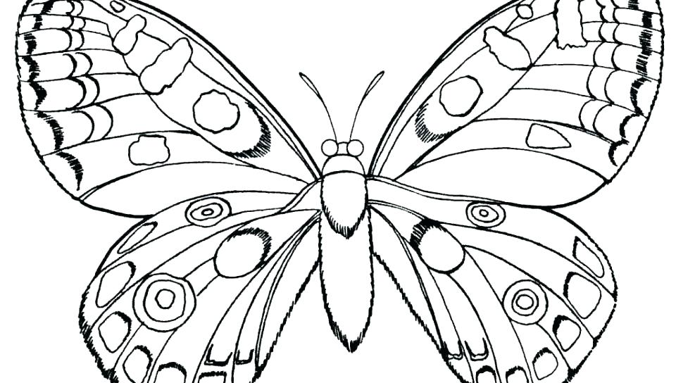 960x544 Butterfly Coloring Pages Coloring Pages Simple Butterfly Coloring