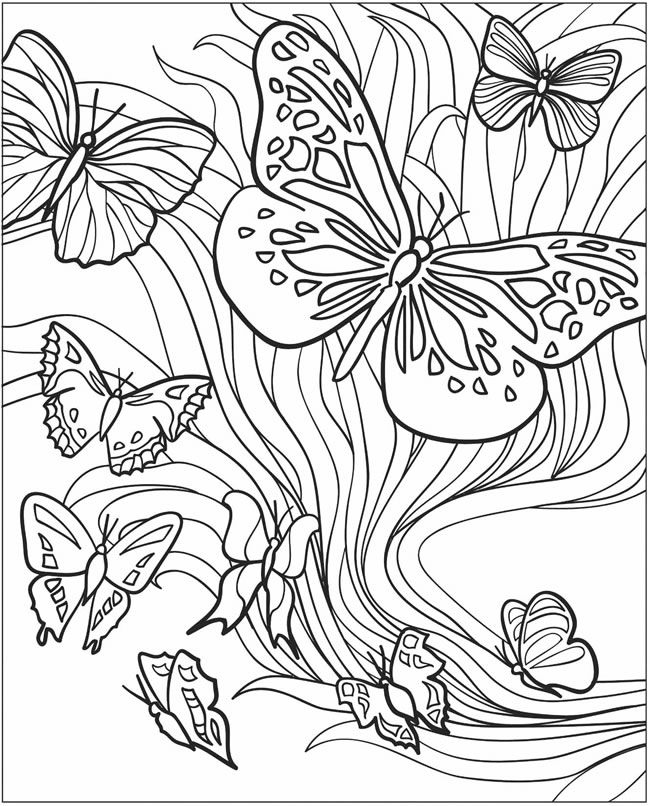 Butterfly Design Coloring Pages