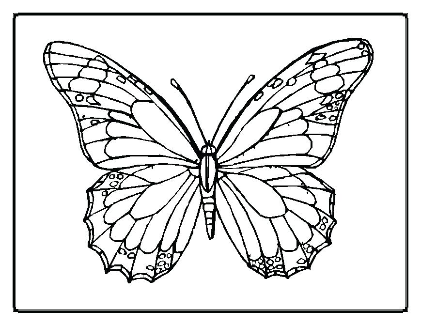 869x671 Butterfly Patterns To Color Butterfly Patterns Simply Simple Free
