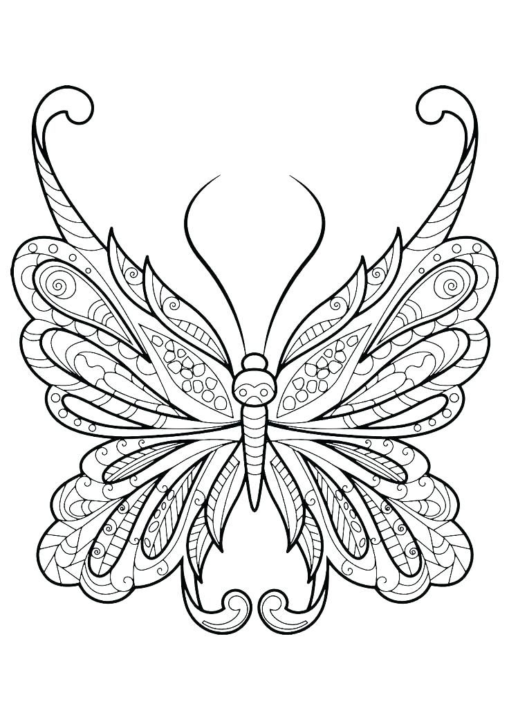 736x1040 Coloring Butterfly Design A Butterfly Colouring Page Download
