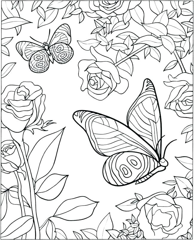 650x804 Design Color Pages Designs Coloring Pages Adult Coloring Pages 3 3