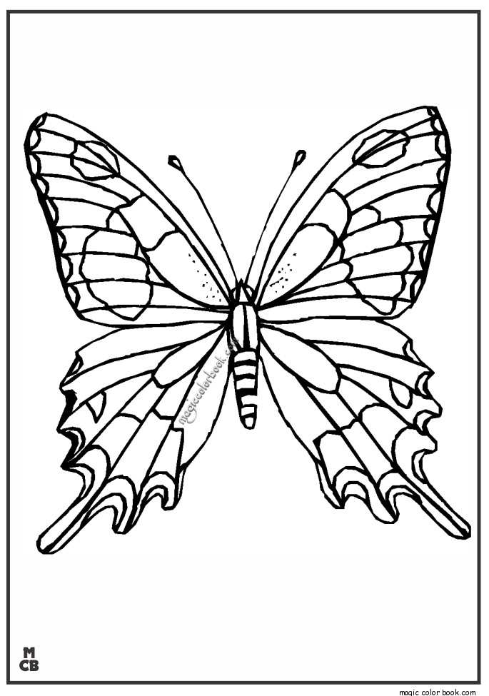 685x975 Adults Patterns Coloring Pages Butterfly