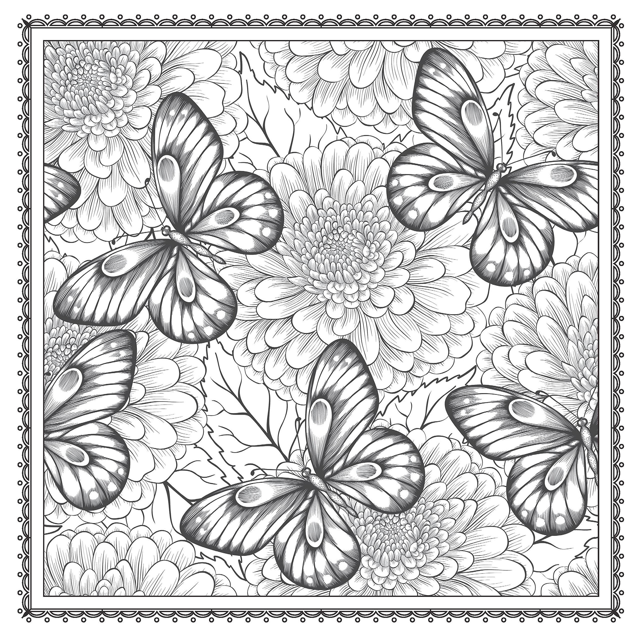 2551x2560 Adult Coloring Pages Butterfly Patterns Download