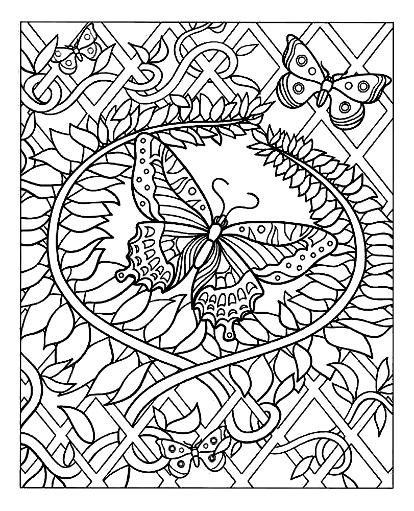811x1000 Butterfly