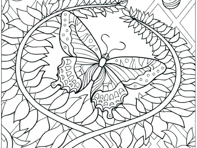 640x480 Butterfly Coloring Books For Adults With Butterfly Coloring Pages