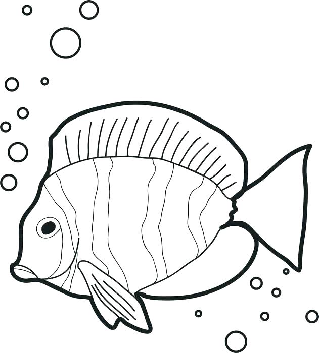 631x700 Fish Coloring Page Fish Coloring Pages Fish Coloring Sheets