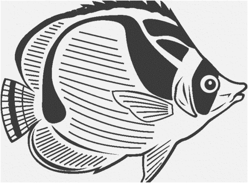 827x609 Fish Coloring Pages Pdf Design Print Amp Download Cute And Educative
