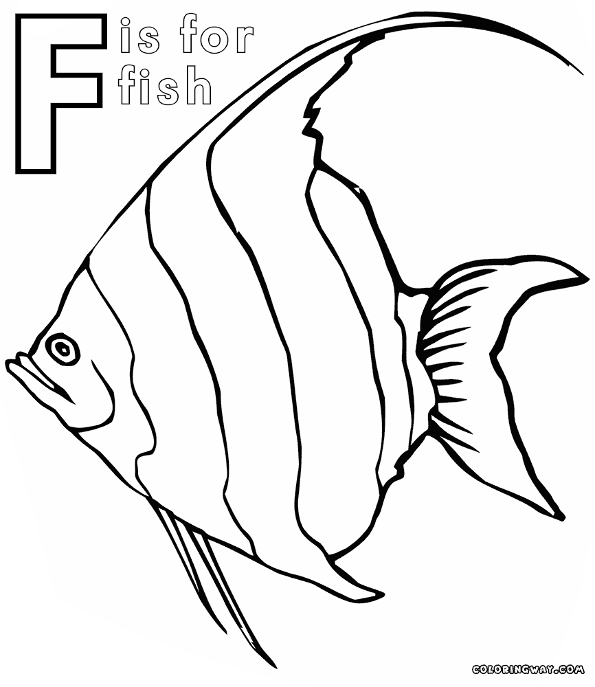 866x1000 New Angelfish Coloring Page Design Printable Coloring Sheet