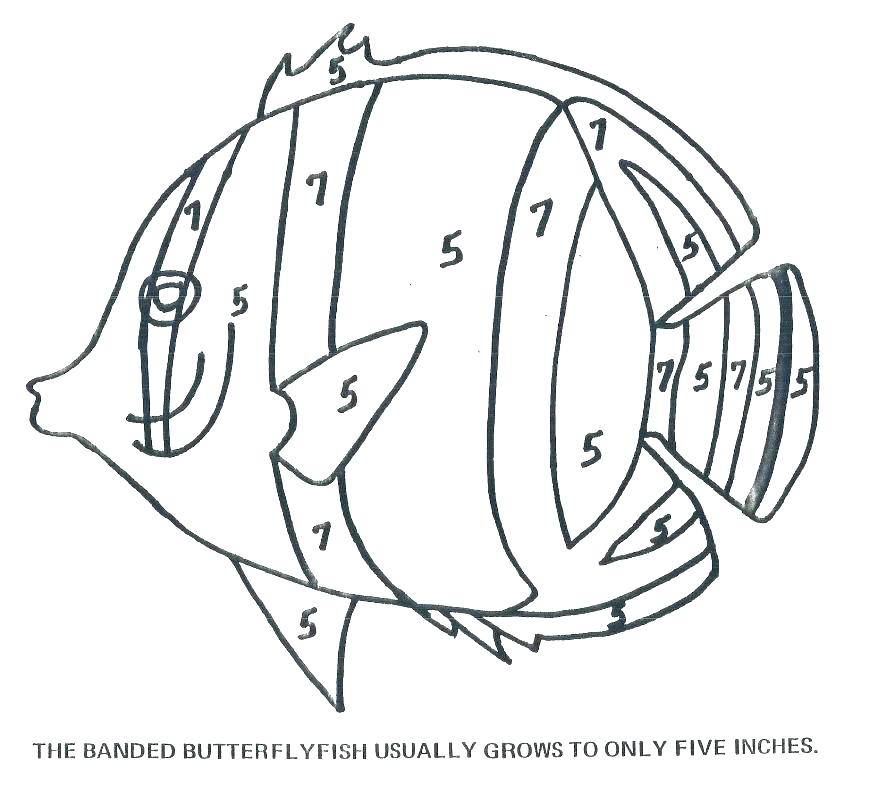 878x796 Coloring Fish Pages
