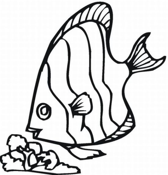 549x571 Rainbow Fish Coloring Pages 158