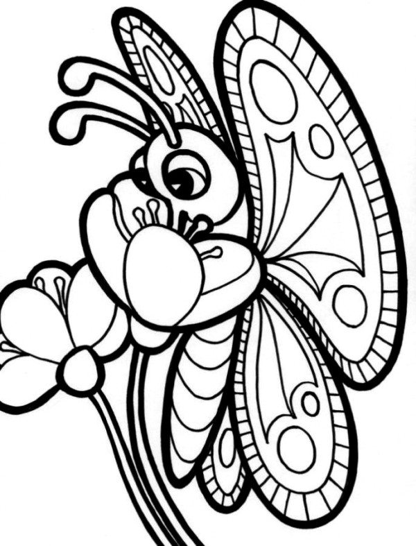 600x787 Butterfly On Flower Coloring Pages